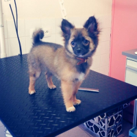 Photo de profil de juke