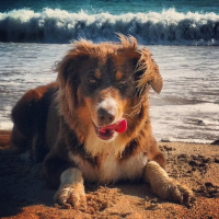 Photo de profil de Abyss