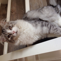 Photo de profil de Plume 