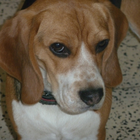 Photo de profil de samy