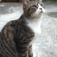 Photo de profil de Jacky