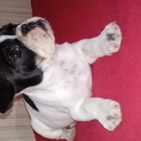 Photo de profil de Lyllou
