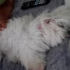 Photo de Elka