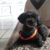 Photo de Charly