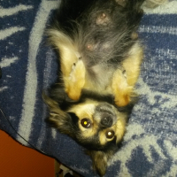 Photo de profil de Daisy 