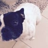 Photo de Luna
