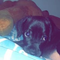 Photo de profil de Jeko