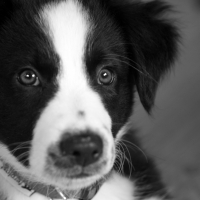 Photo de profil de Yuki