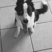 Photo de profil de Nala