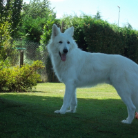Photo de profil de junior