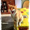 Photo de kruimel (miette)