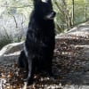 Photo de Chako