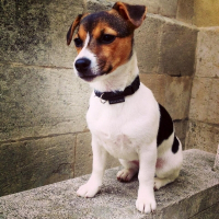 Photo de profil de Meyli