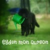 Photo de Eyden