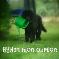 Photo de profil de Eyden