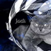 Photo de profil de jack