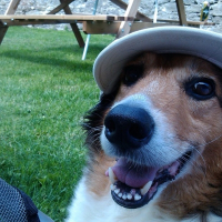 Photo de profil de praline