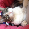 Photo de Toulouse