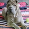 Photo de Lola