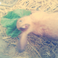 Photo de profil de Lola