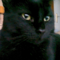 Photo de profil de GASTON