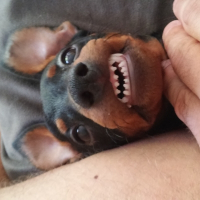 Photo de profil de Max