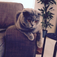 Photo de profil de Izi