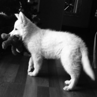 Photo de profil de Jana