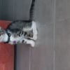 Photo de luna