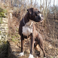 Photo de profil de Booska P 