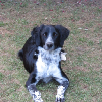 Photo de profil de Filou 
