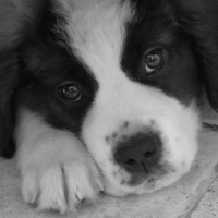 Photo de profil de Leeroy