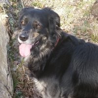 Photo de profil de Belle