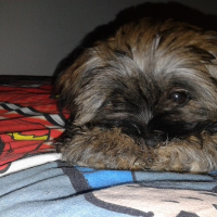 Photo de profil de Eurêka