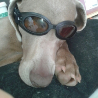Photo de profil de J'INOX