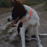 Photo de profil de Jack