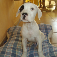 Photo de profil de Enco