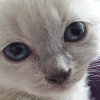 Photo de profil de luna