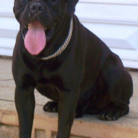 Photo de profil de Juba