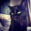 Photo de Haribo
