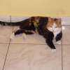 Photo de LUNA