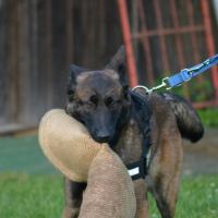 Photo de profil de Neika