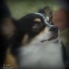 Photo de gribouille