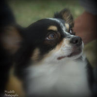 Photo de profil de gribouille