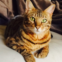 Photo de profil de Hermès Hiro-san