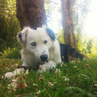 Photo de profil de Jinko