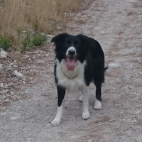Photo de profil de Djo
