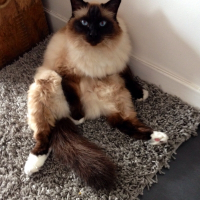 Photo de profil de Samy