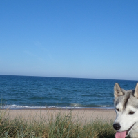 Photo de profil de Izy