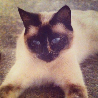 Photo de profil de Moumoune 